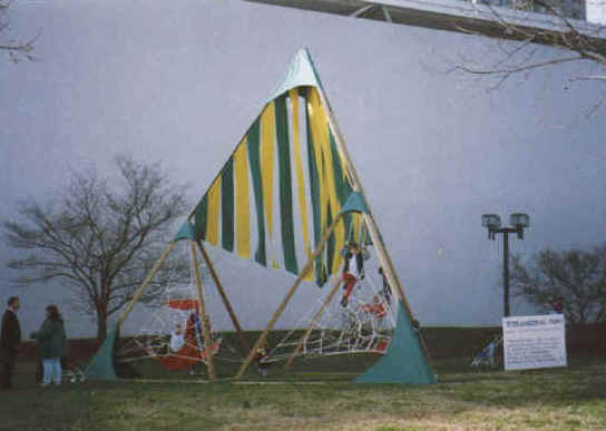 24 foot Tetra climbing and wind structure
