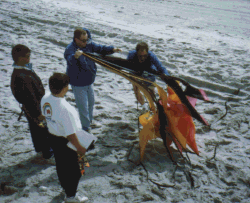 wpe40355.gif (882062 bytes)