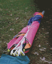 wpe20086.gif (595089 bytes)