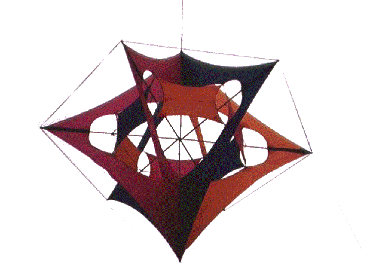 kite2.gif (65577 bytes)