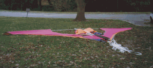 wpe84930.gif (908823 bytes)