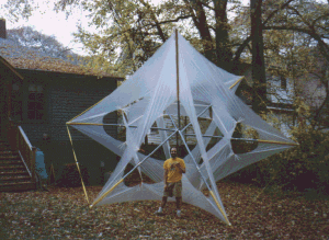 wpe94256.gif (408614 bytes)