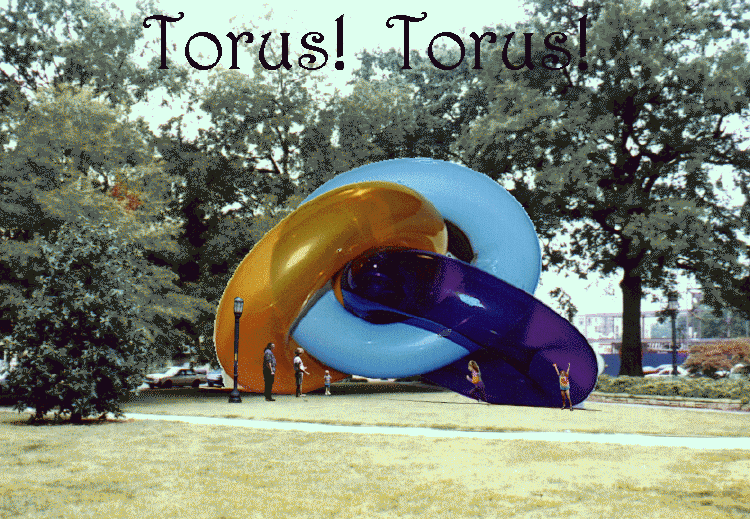Torus! Torus! at Moore Square