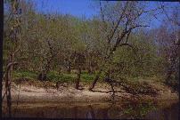 Beach along the river