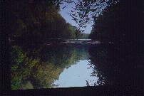 Waterlevel view

down the Neuse